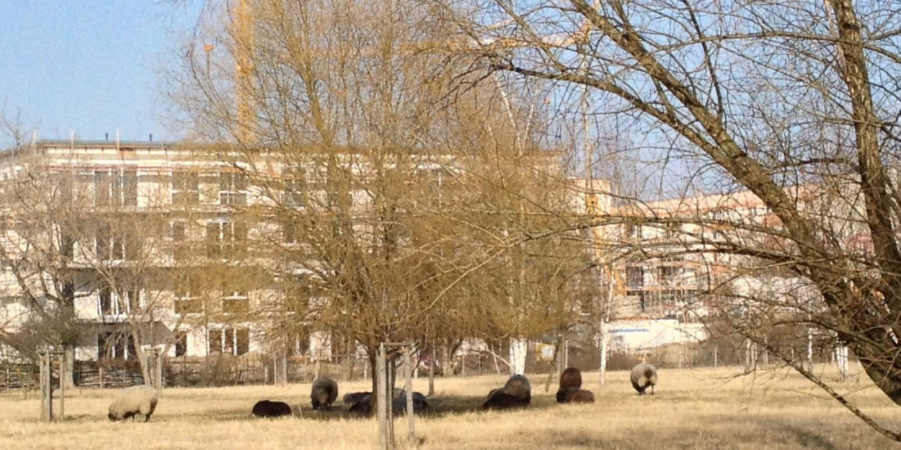 Radtour Berlin Lichtenberg