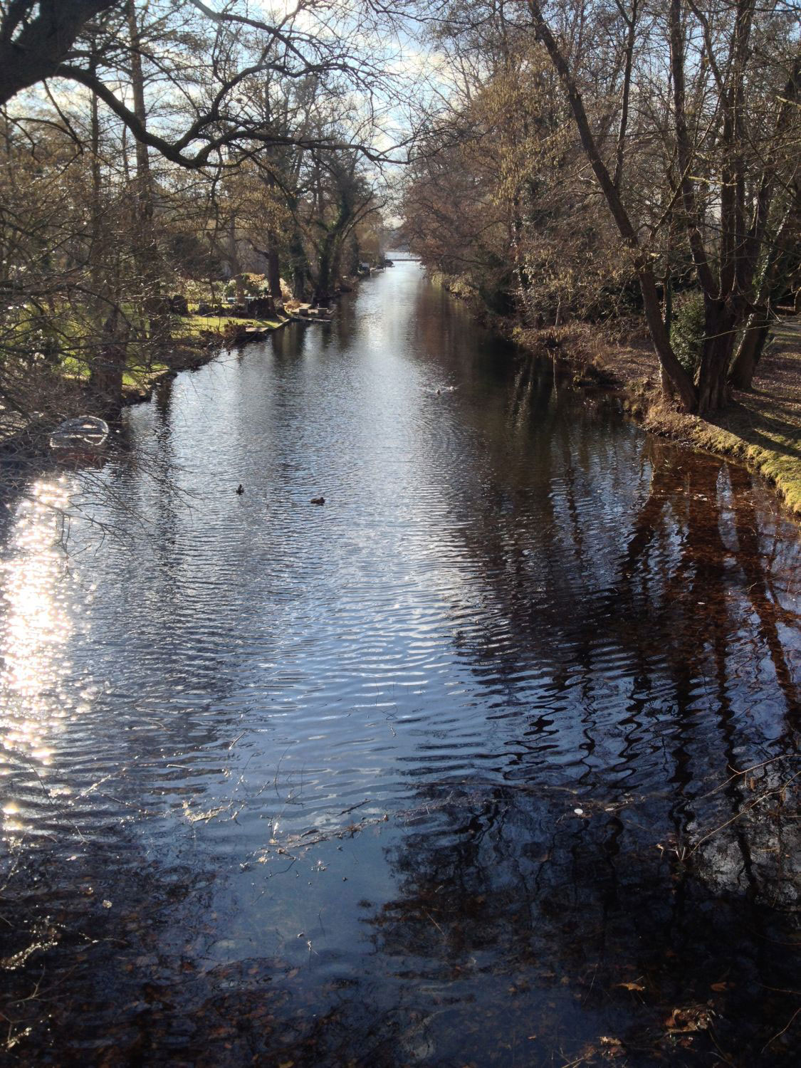 Spaziergang durch Potsdam Babelsberg