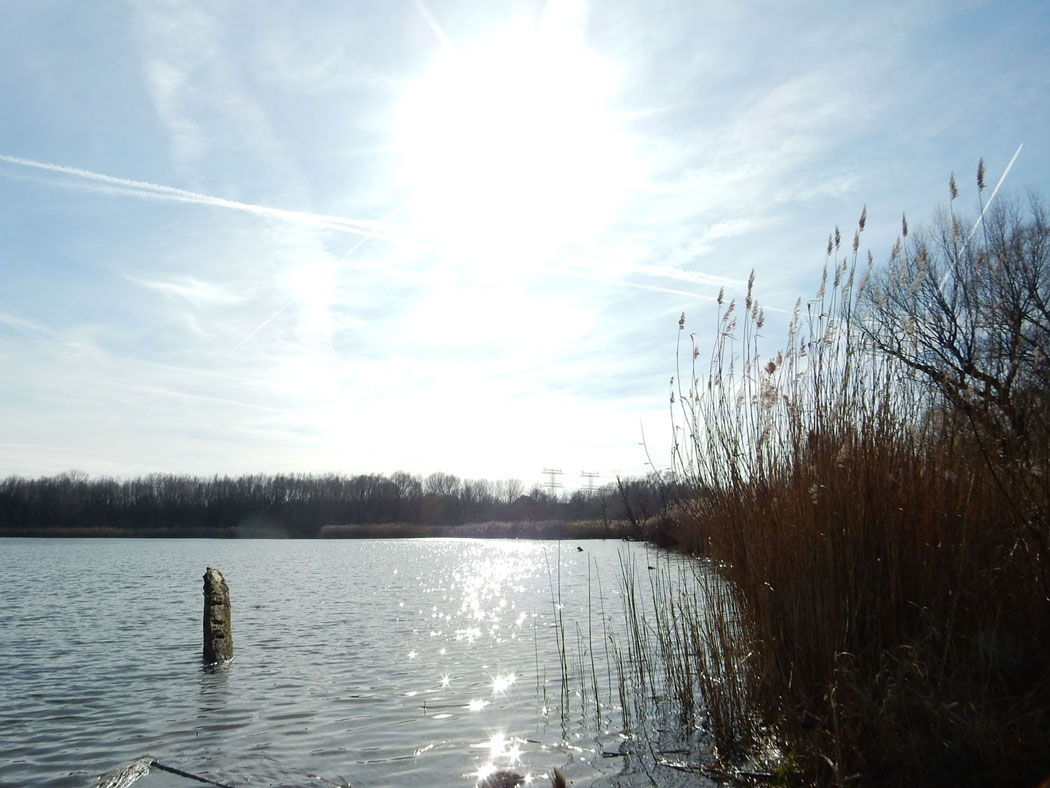 Radtour Berlin Hohenschönhausen - Malchower See