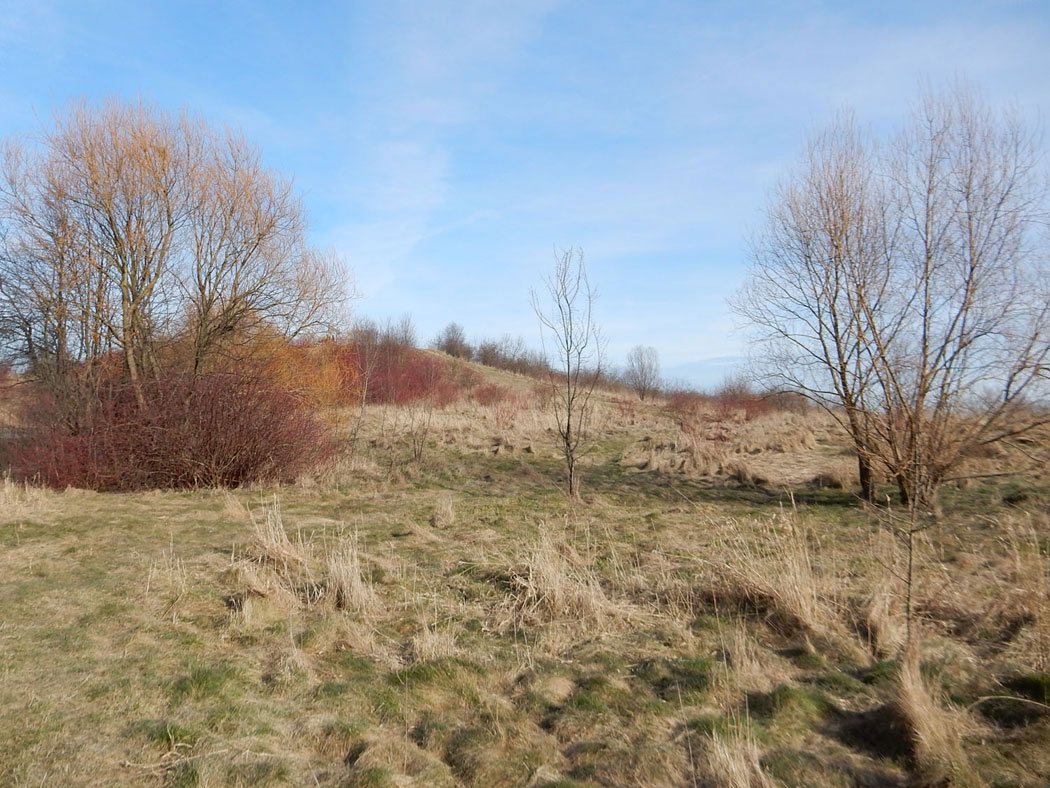 Radtour Berlin Hohenschönhausen - Falkenberger Krugwiesen