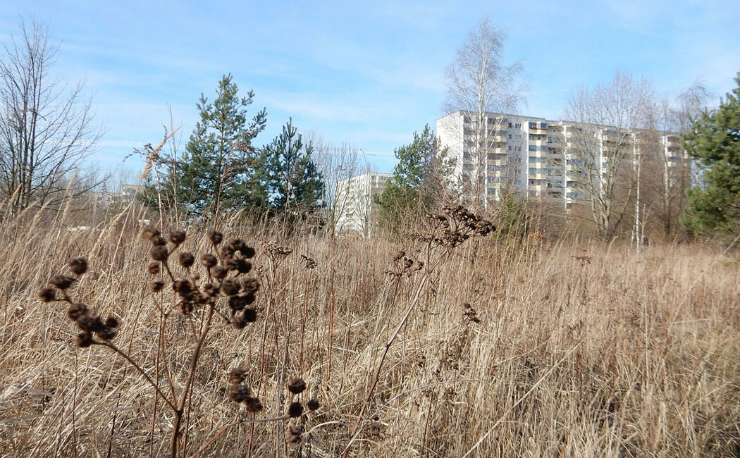 Radtour Berlin Hohenschönhausen - Falkenberg