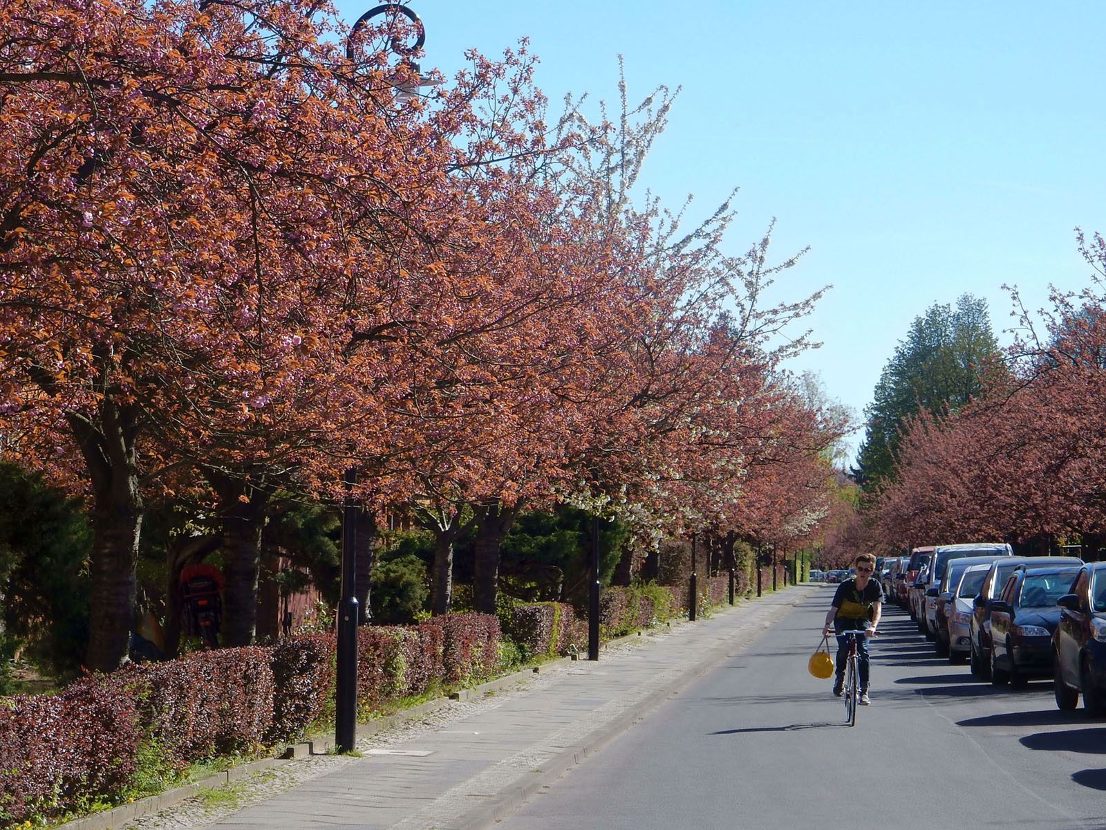 Radtour Berlin Neukölln - Hufeisensiedlung