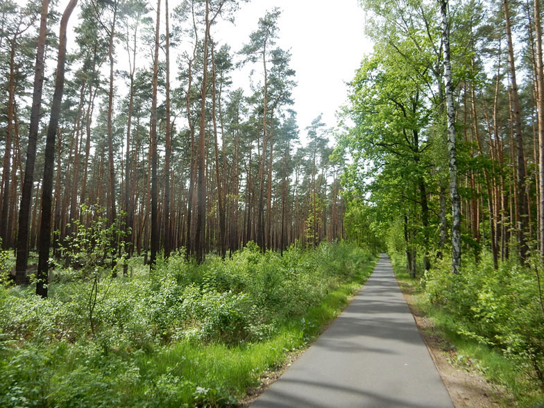 Radtour Berlin Müggelsee - Müggelhort