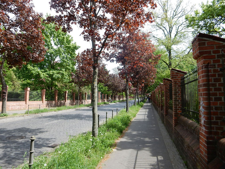 Radtour Berlin Müggelsee