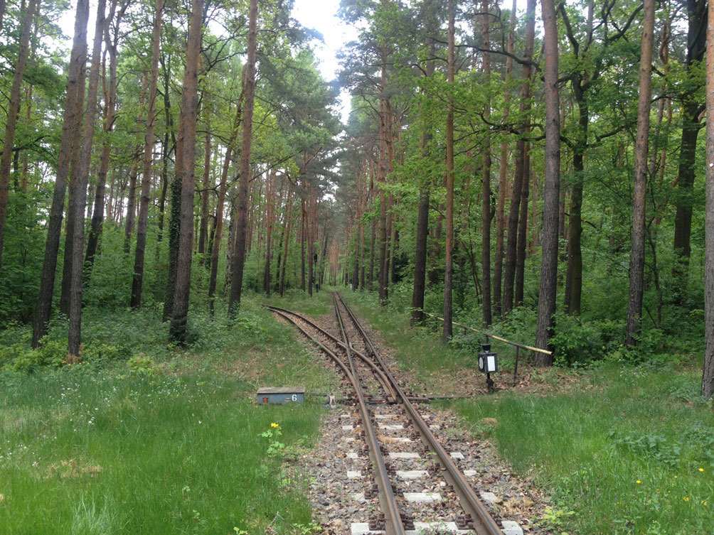 Radtour vom Treptower Park nach Köpenick