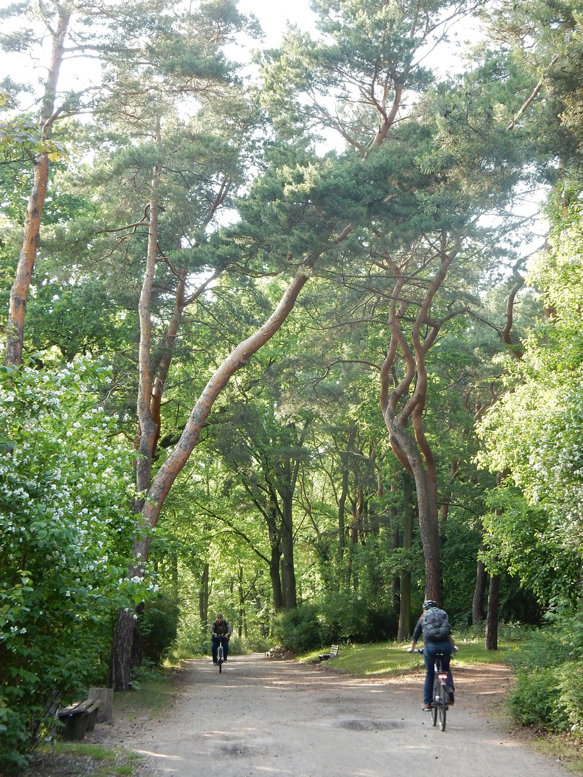 Feierabendtour Berlin Plötzensee