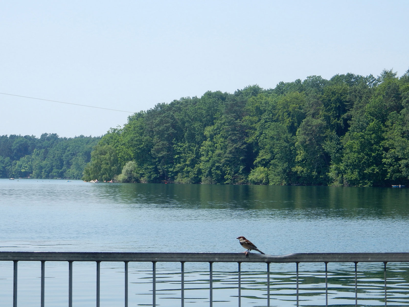 Radtour und Baden am Straussee