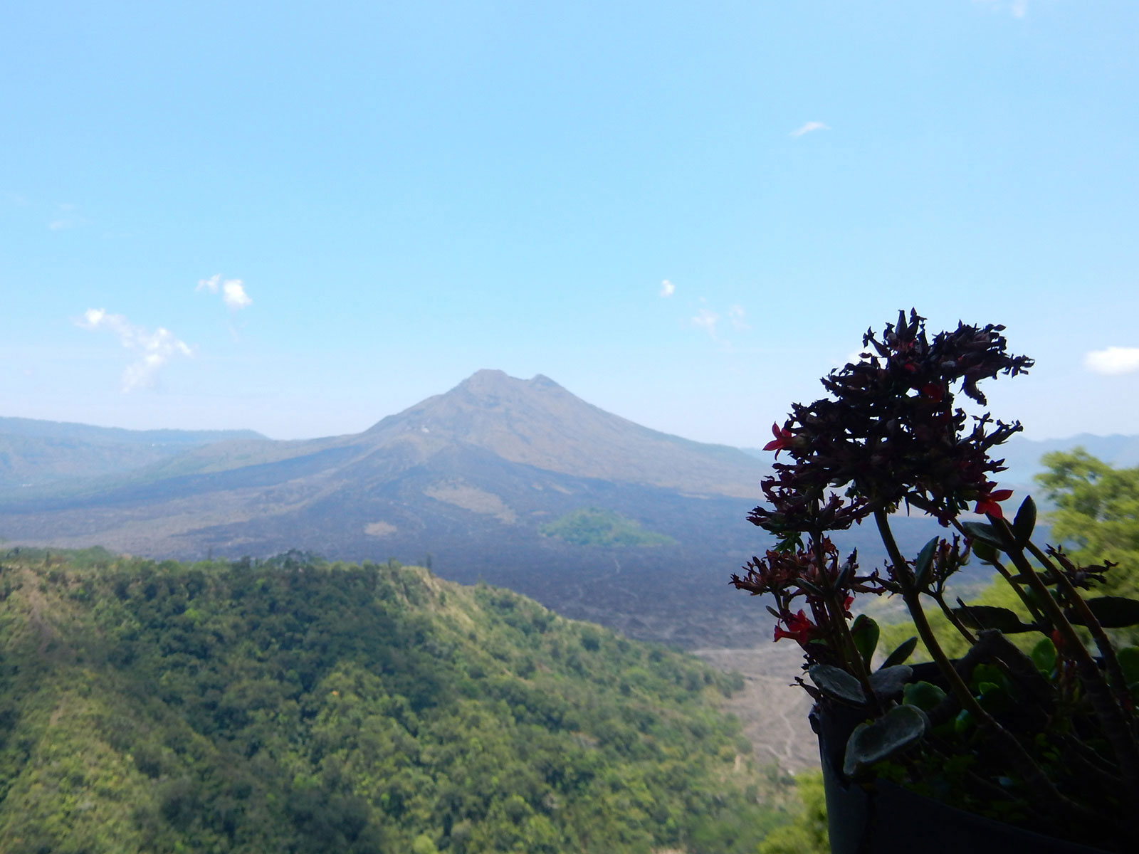 Downhill Cycling Bali