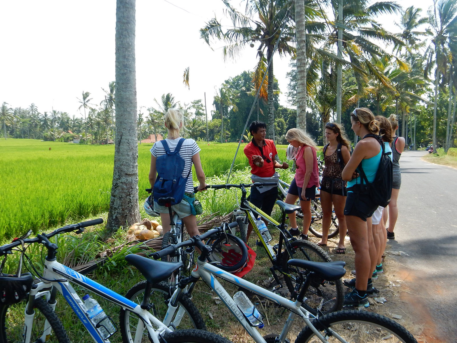 Downhill Cycling Bali