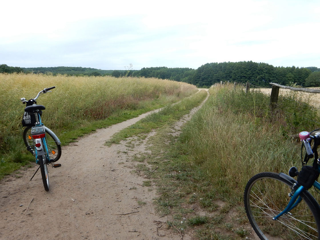 Radtour Fleesensee Kölpinsee Müritz