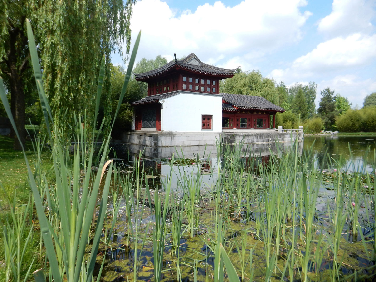 Mikroabenteuer in Berlin