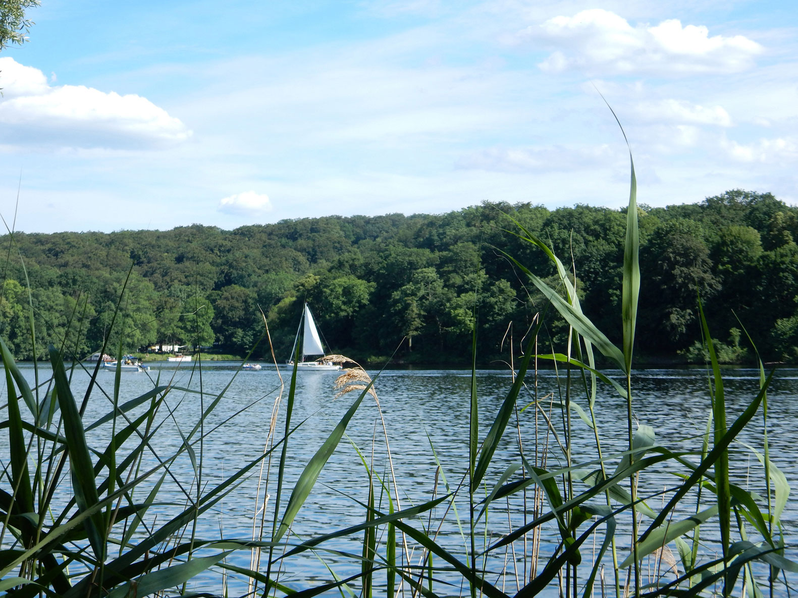 Radtour Havel Potsdam