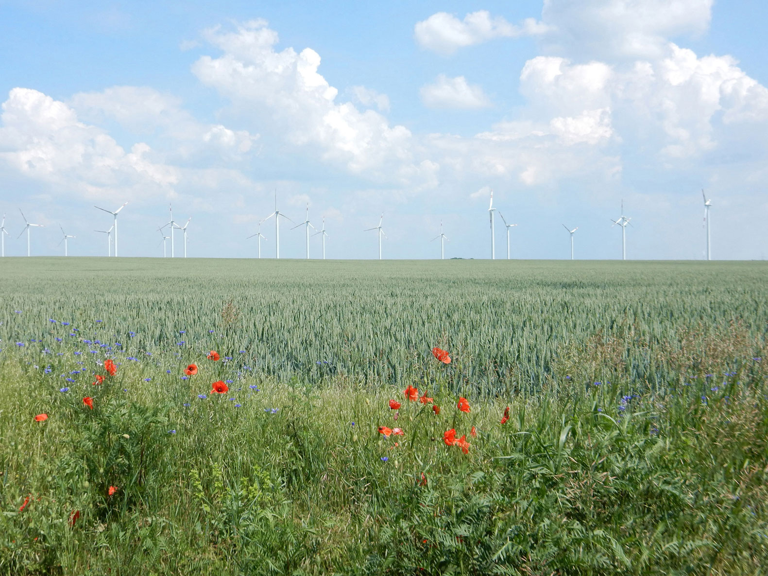 Radtour Uckermark