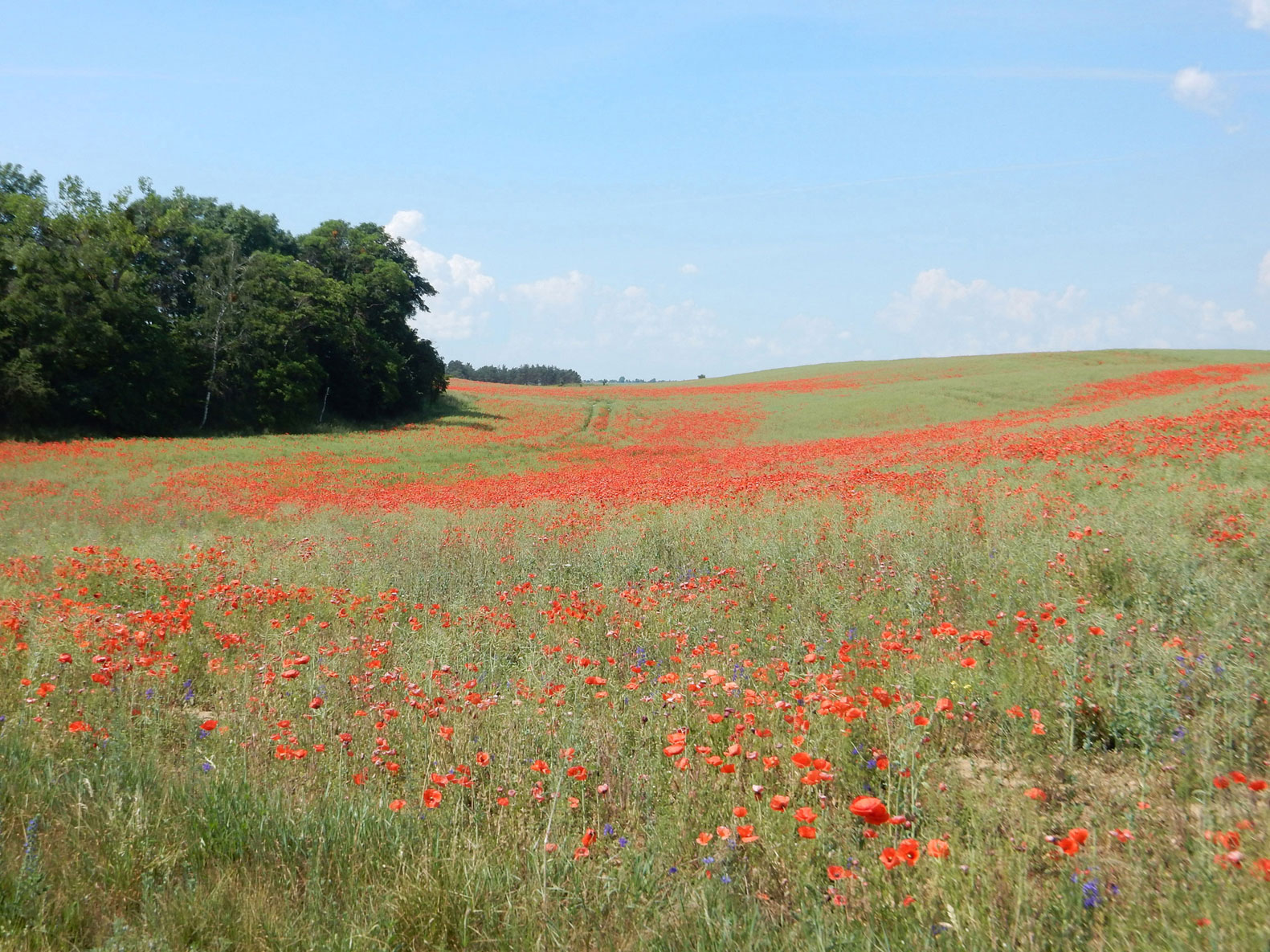 Radtour Uckermark