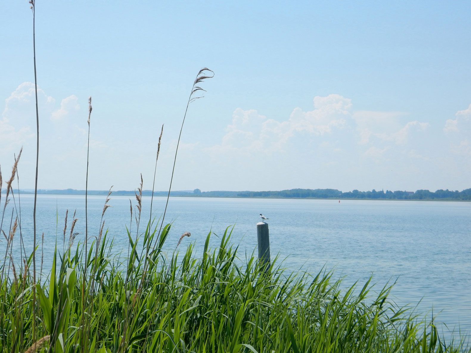 Radtour Uckermark