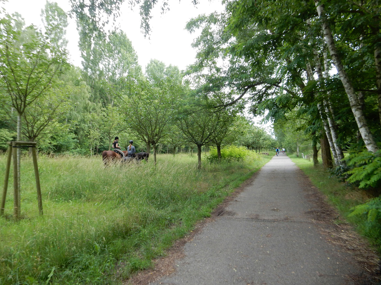 Radtour Berlin Steglitz