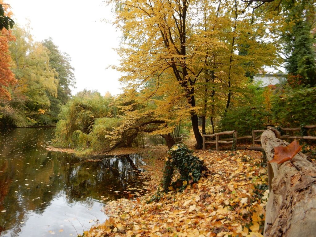 Es wird kälter, aber auch gemütlicher und Berlin sieht wieder einmal so anders aus. Zeit für tolle Radtouren im Herbst mit Sonnenbrille und Schal und vielleicht einer Kanne Tee im Gepäck.