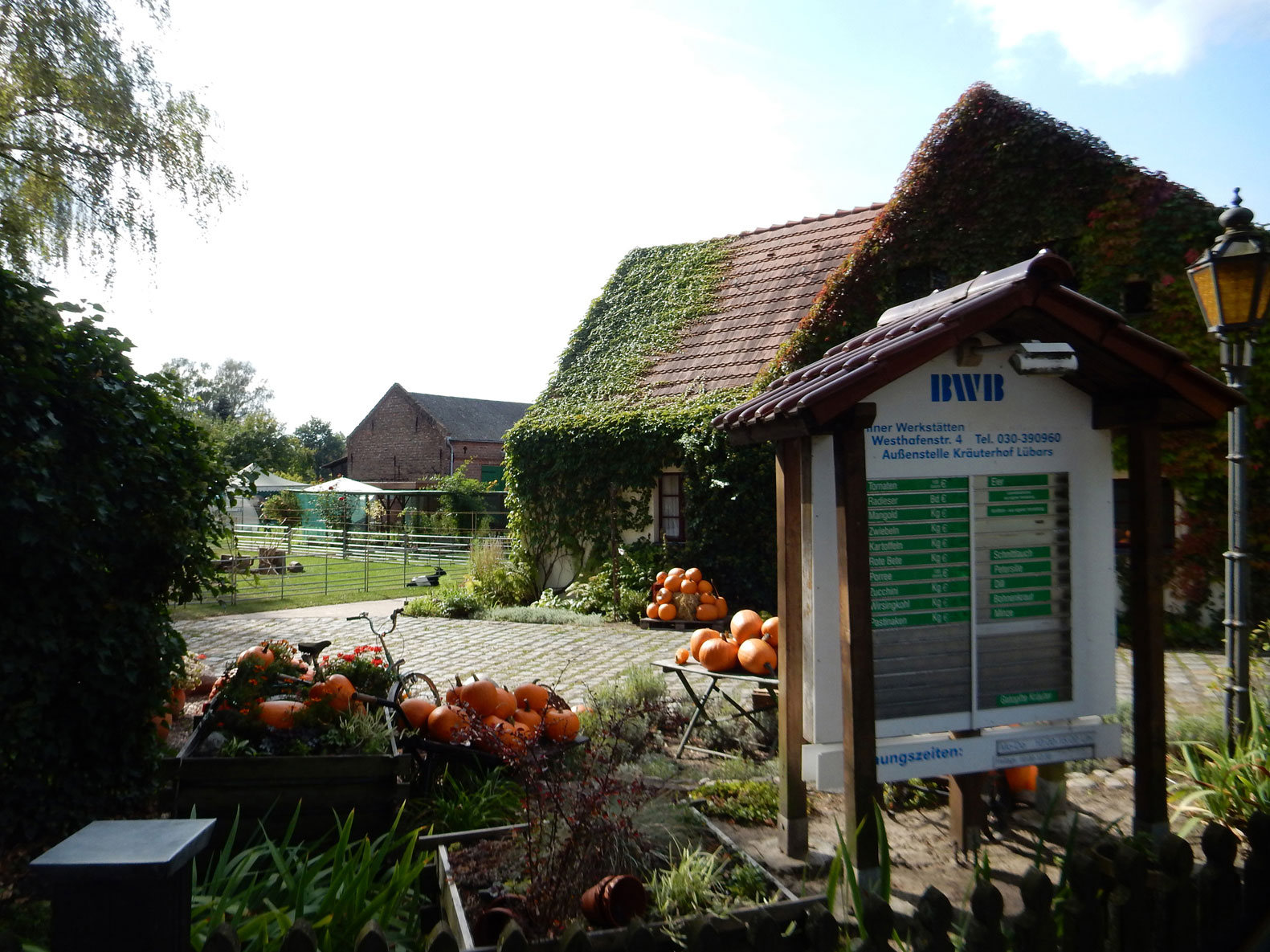 Radtour Berlin Reinickendorf