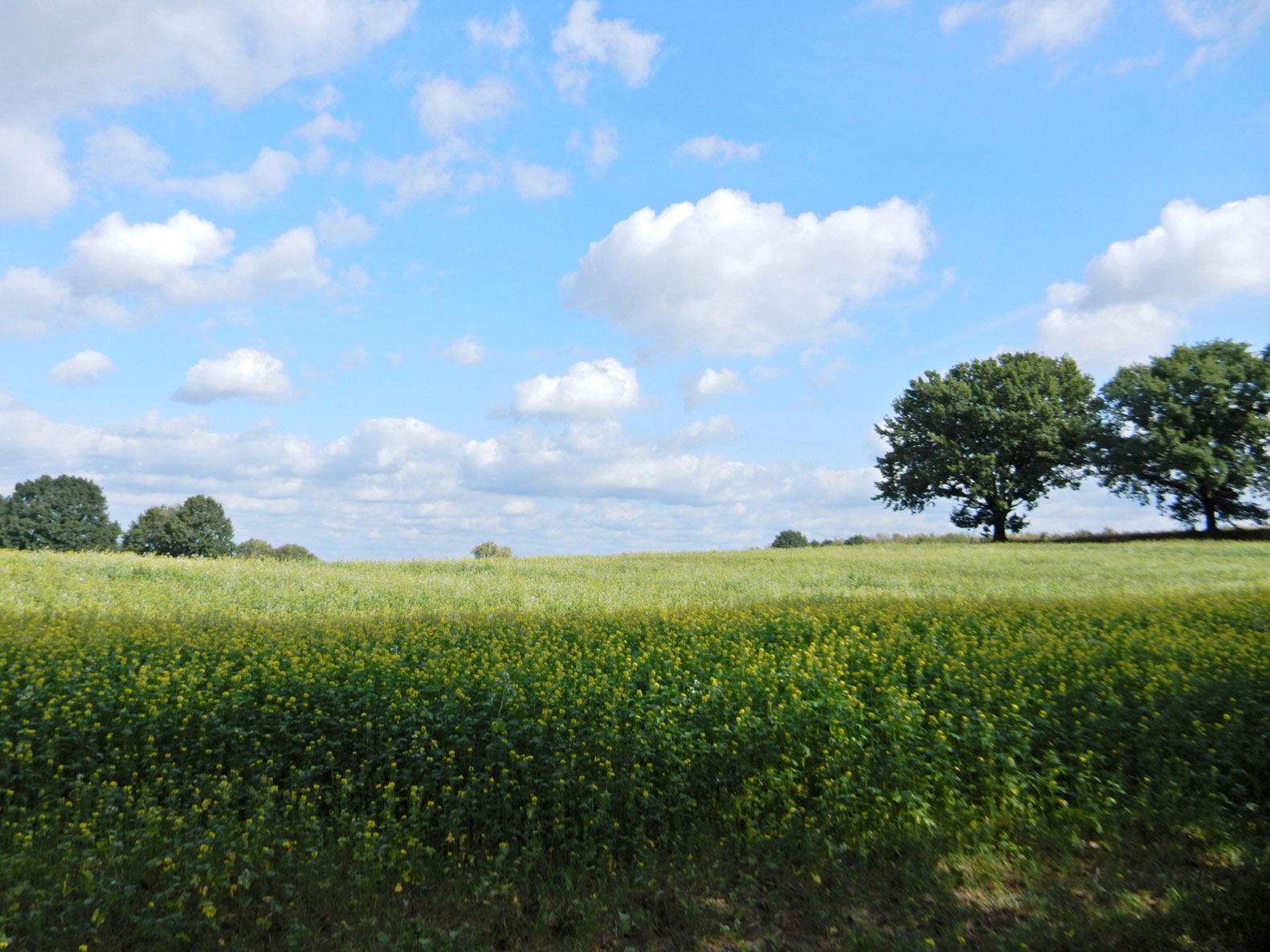 Radtour Berlin Reinickendorf