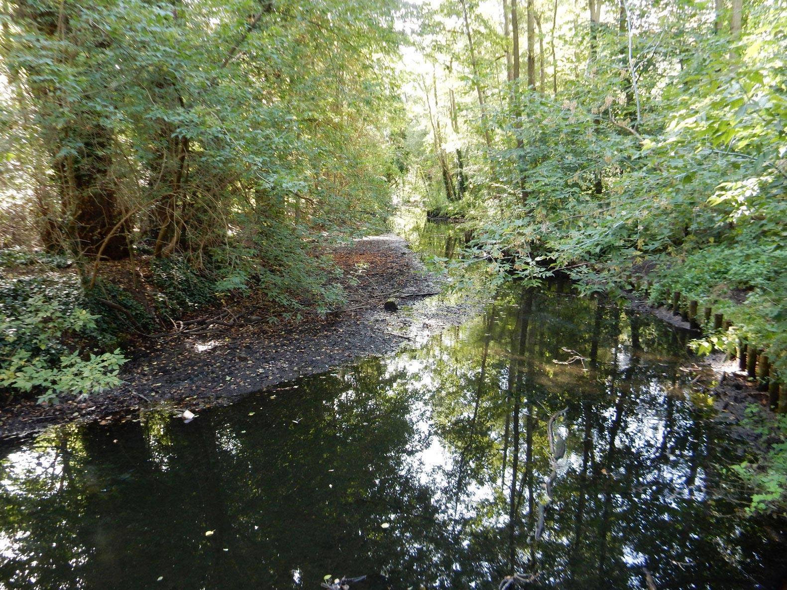 Radtour Berlin Reinickendorf