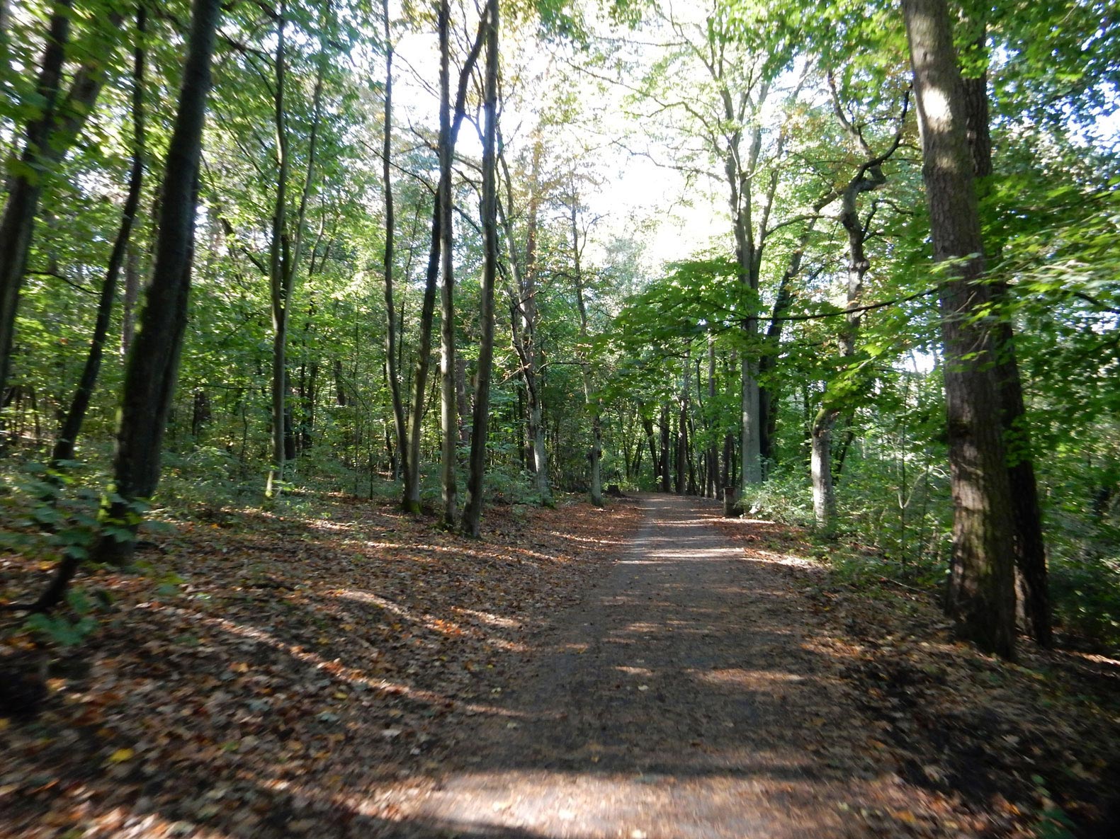 Radtour Berlin Reinickendorf