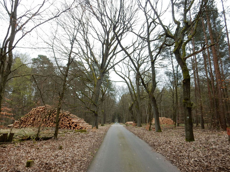 Radtour Spreeradweg Helenesee