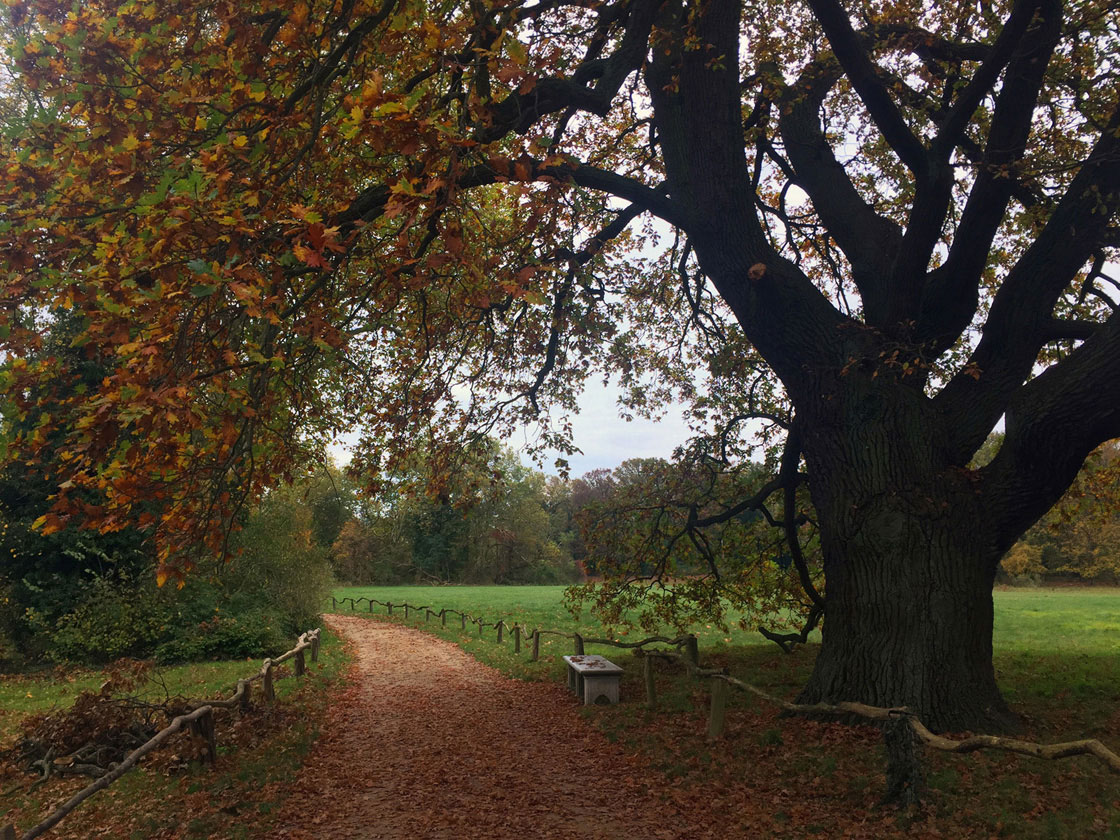 Spaziergang Pfaueninsel