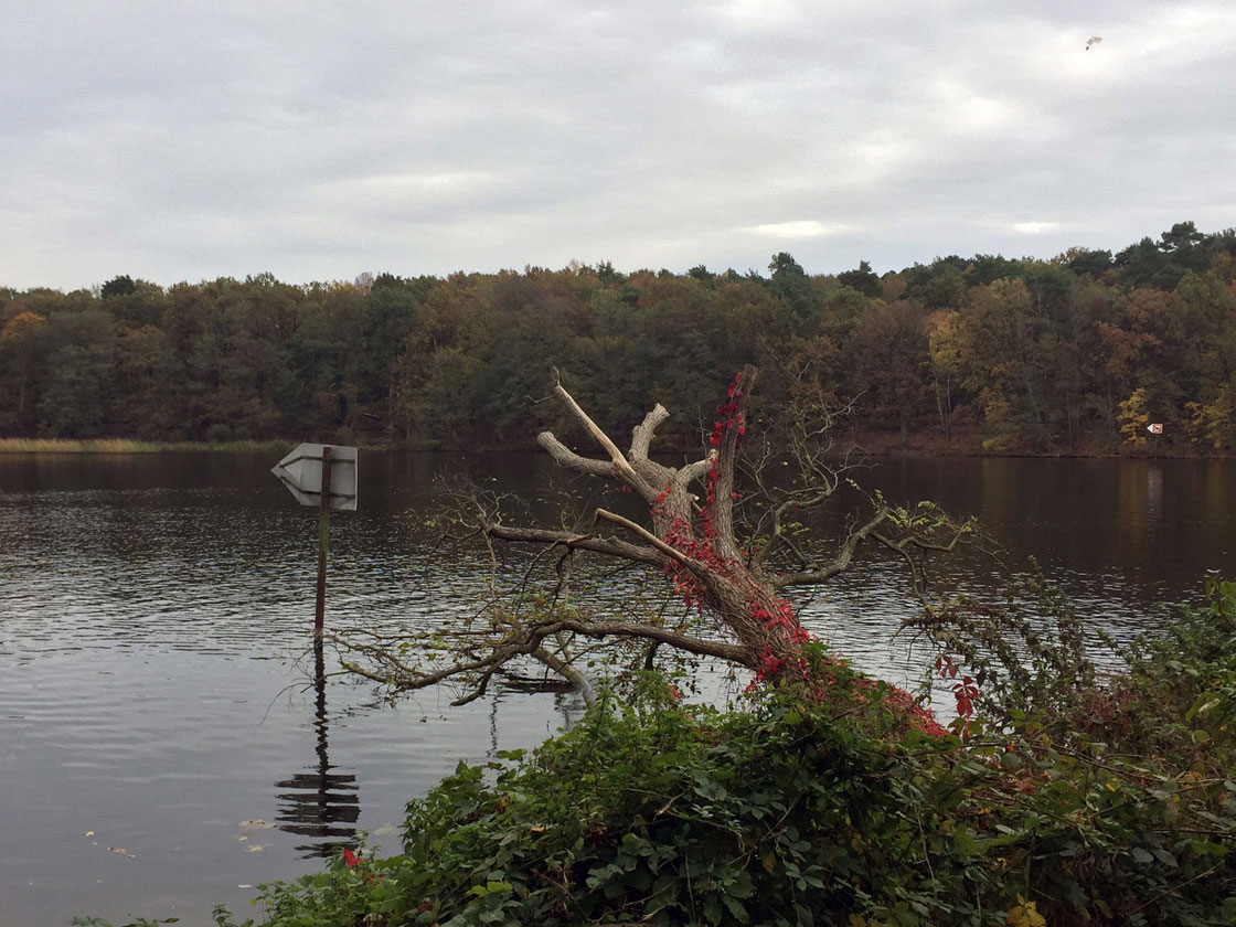 Spaziergang Pfaueninsel