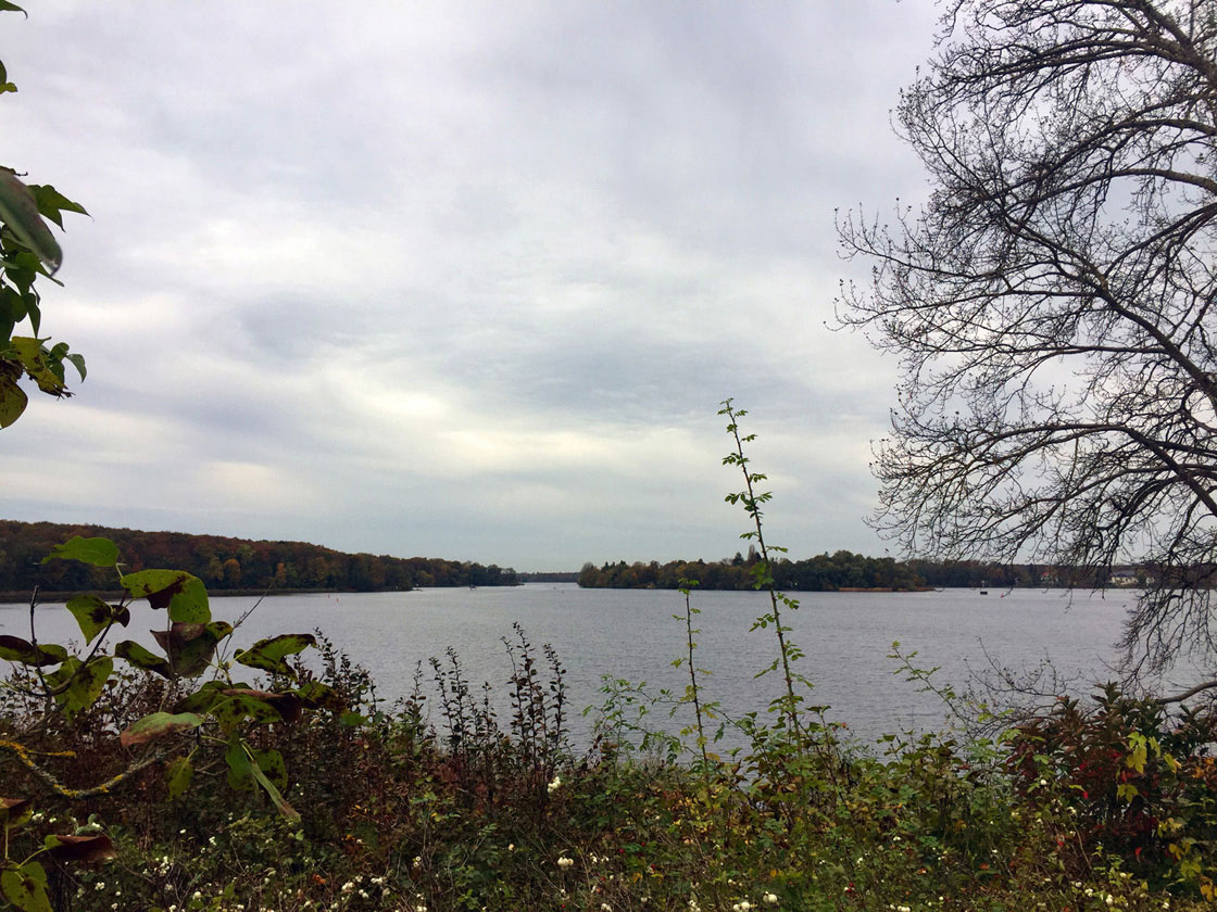 Spaziergang Pfaueninsel