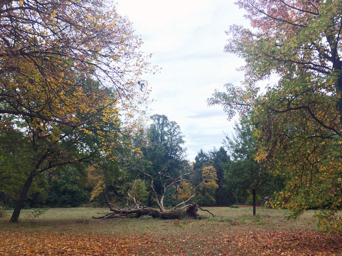 Spaziergang Pfaueninsel