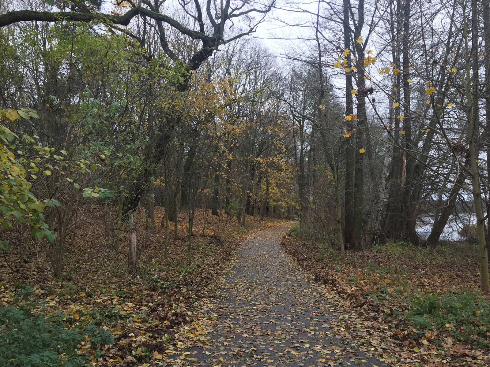 Wanderung Lehnitzsee