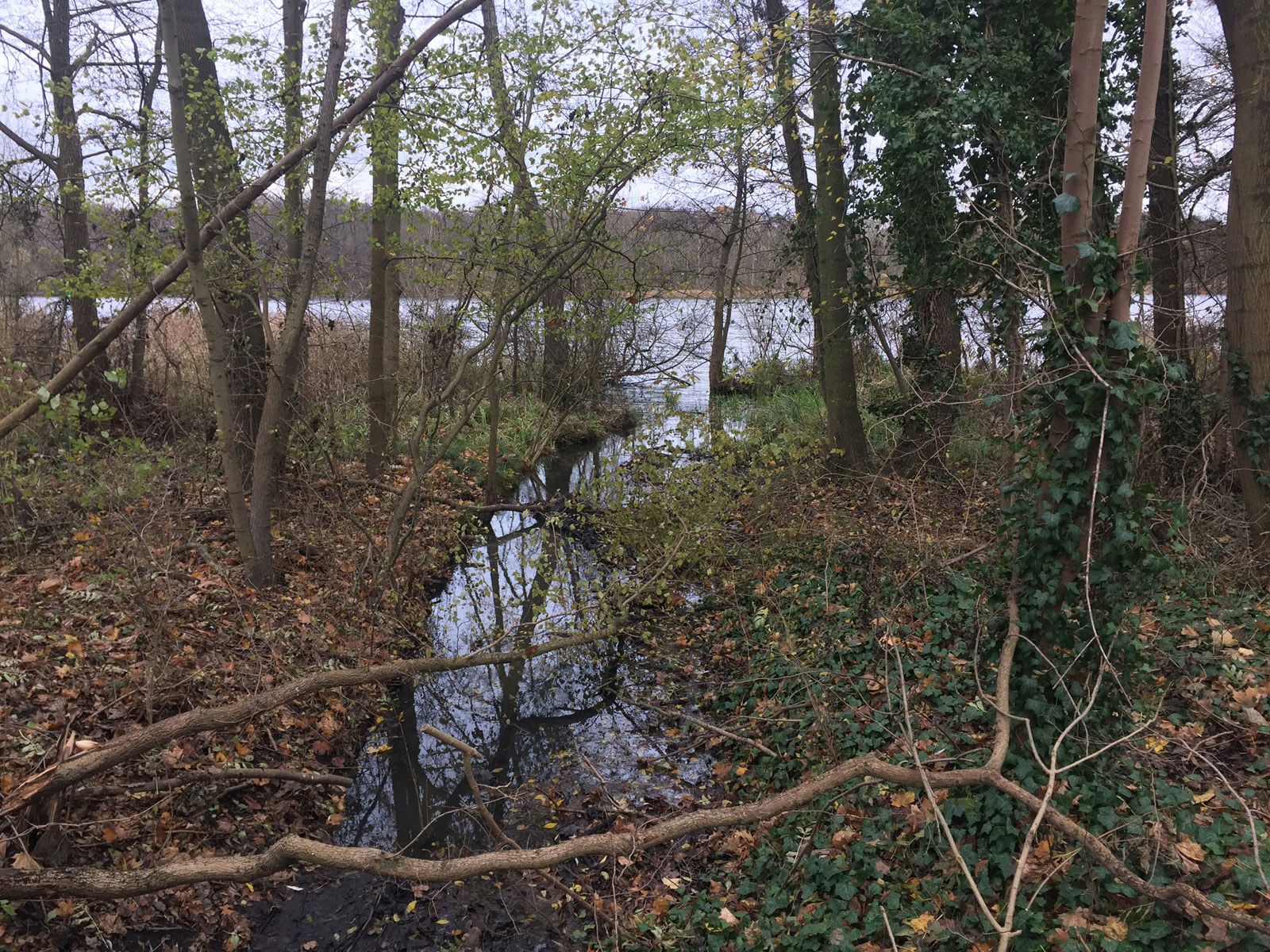 Wanderung Lehnitzsee