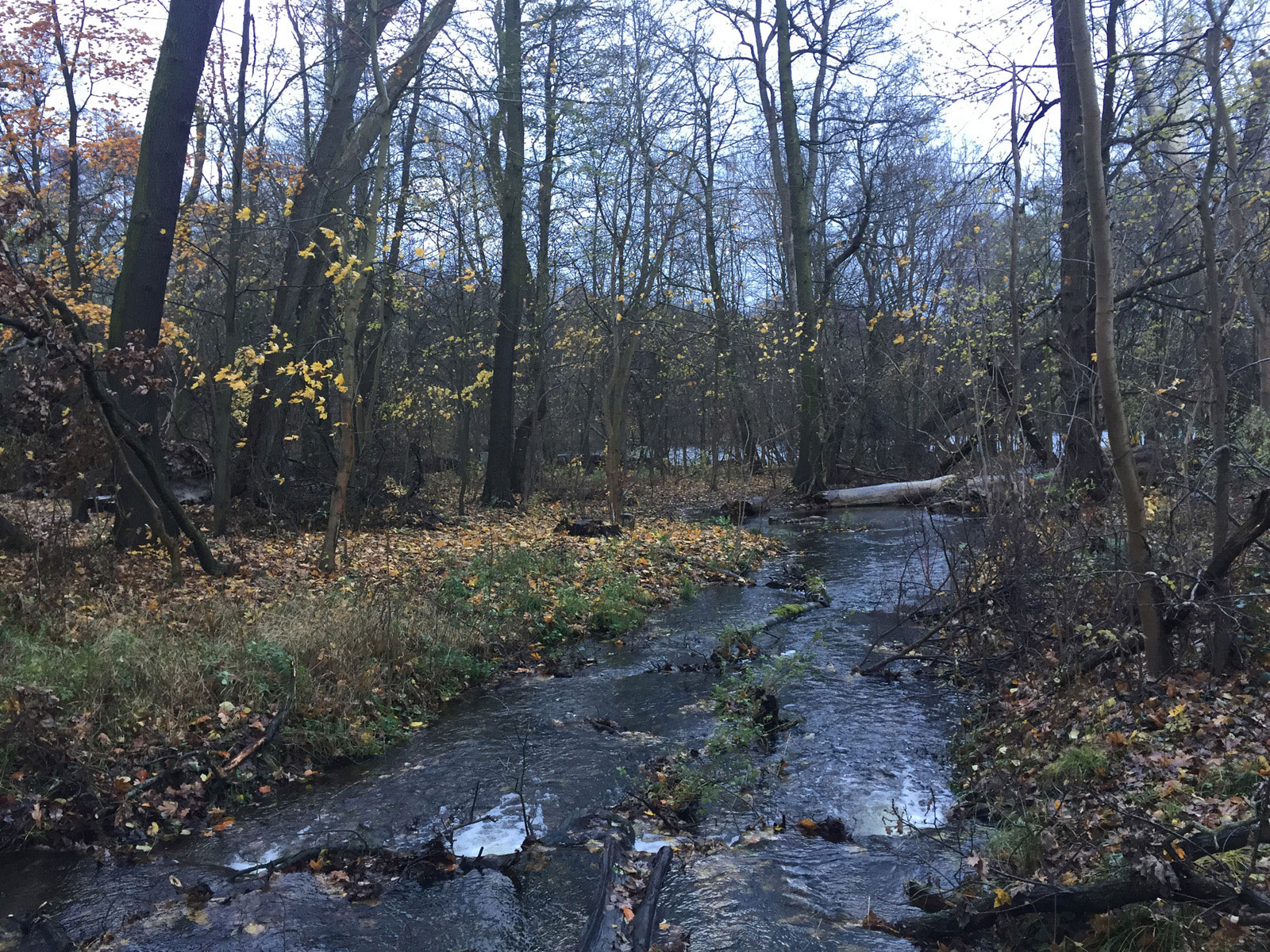 Wanderung Lehnitzsee
