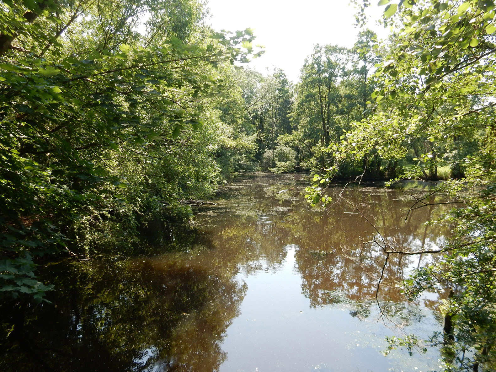 Havelradweg von Brandenburg an der Havel nach Potsdam