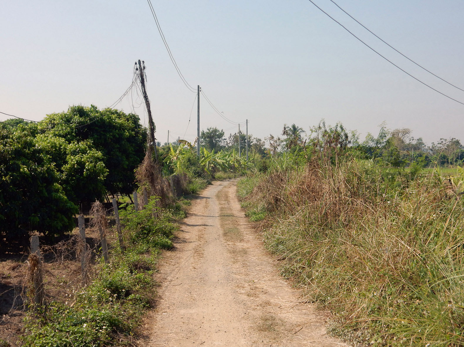 Radtour Chiang Mai