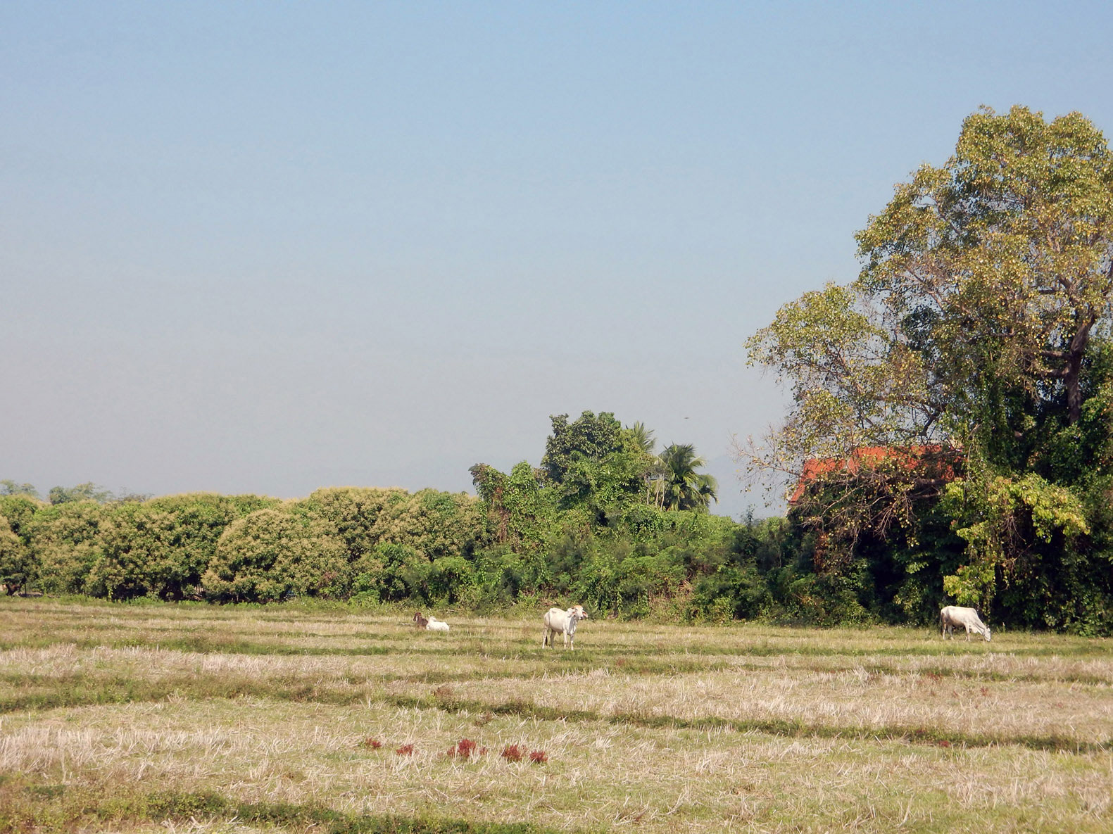 Radtour Chiang Mai