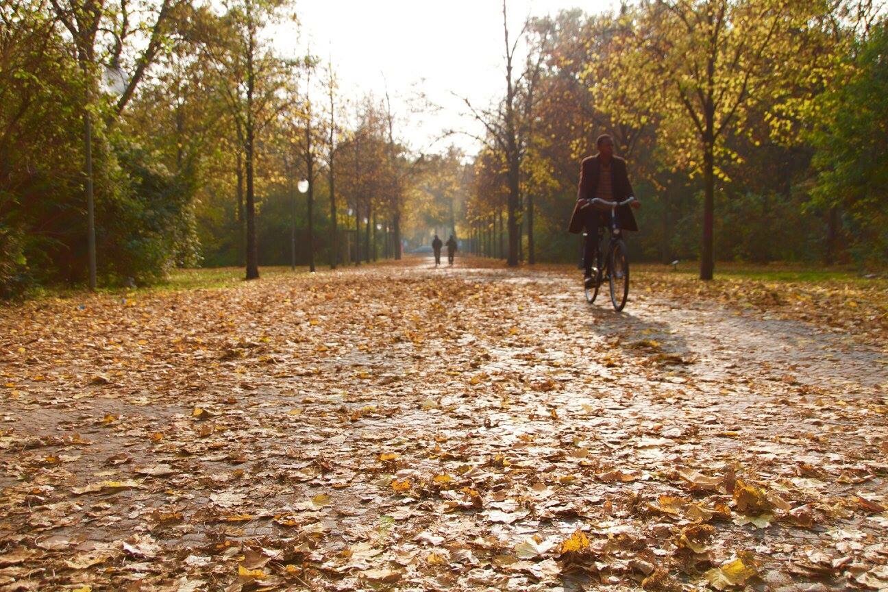 Herbst-Spaziergänge in Berlin
