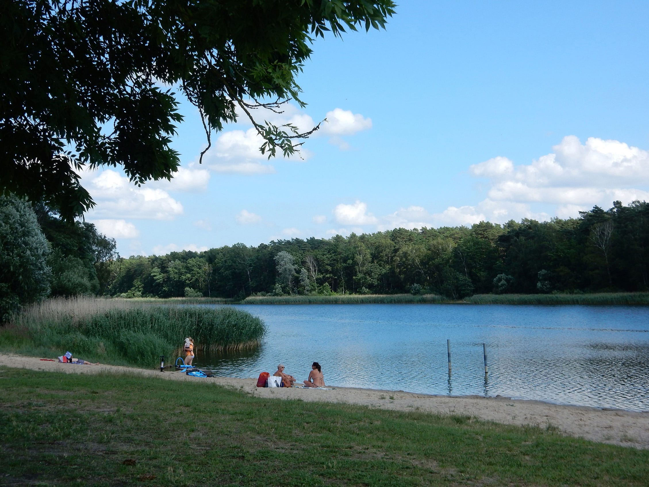 Beetzer See