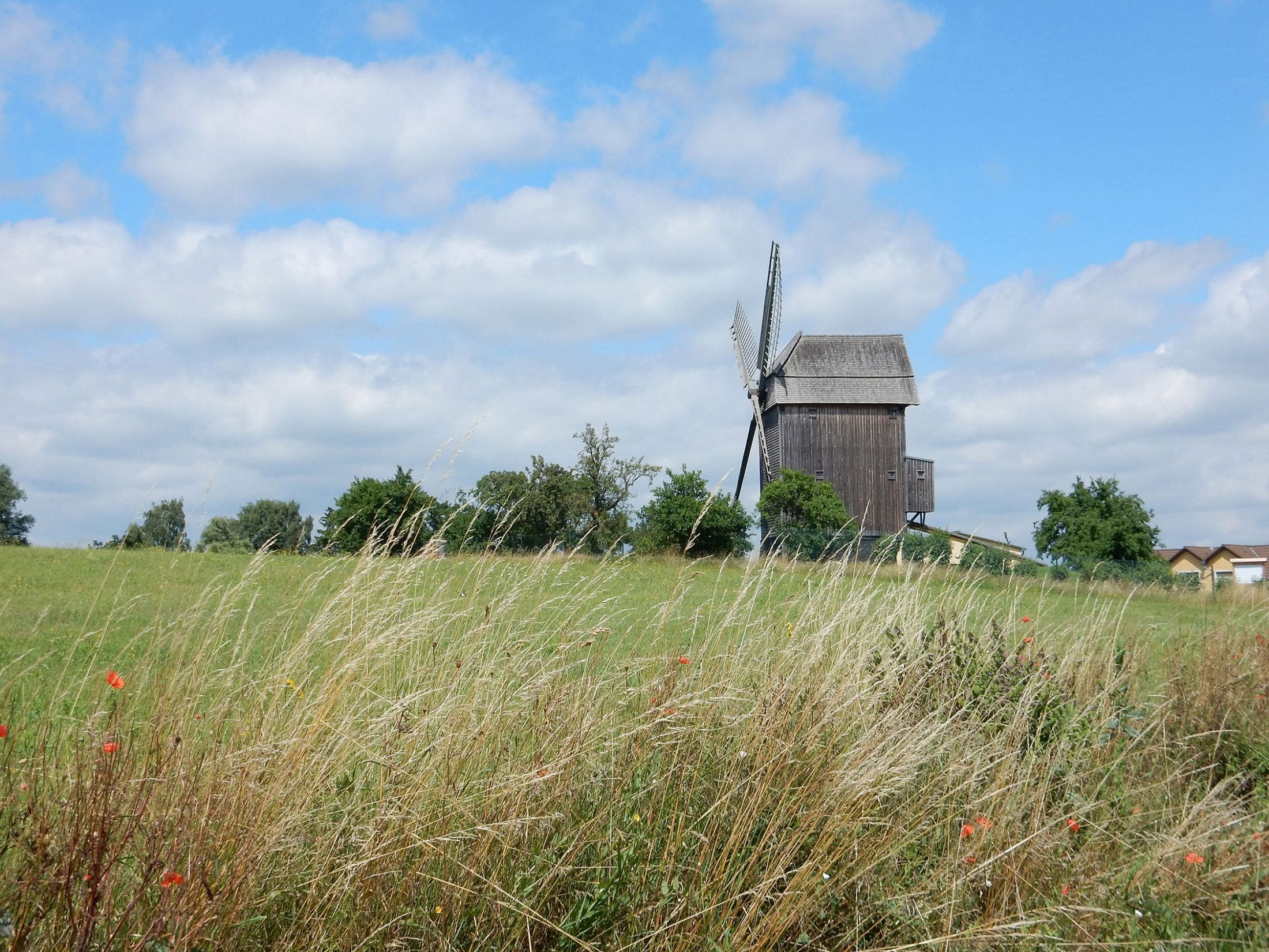 Mühle in Vehlefanz