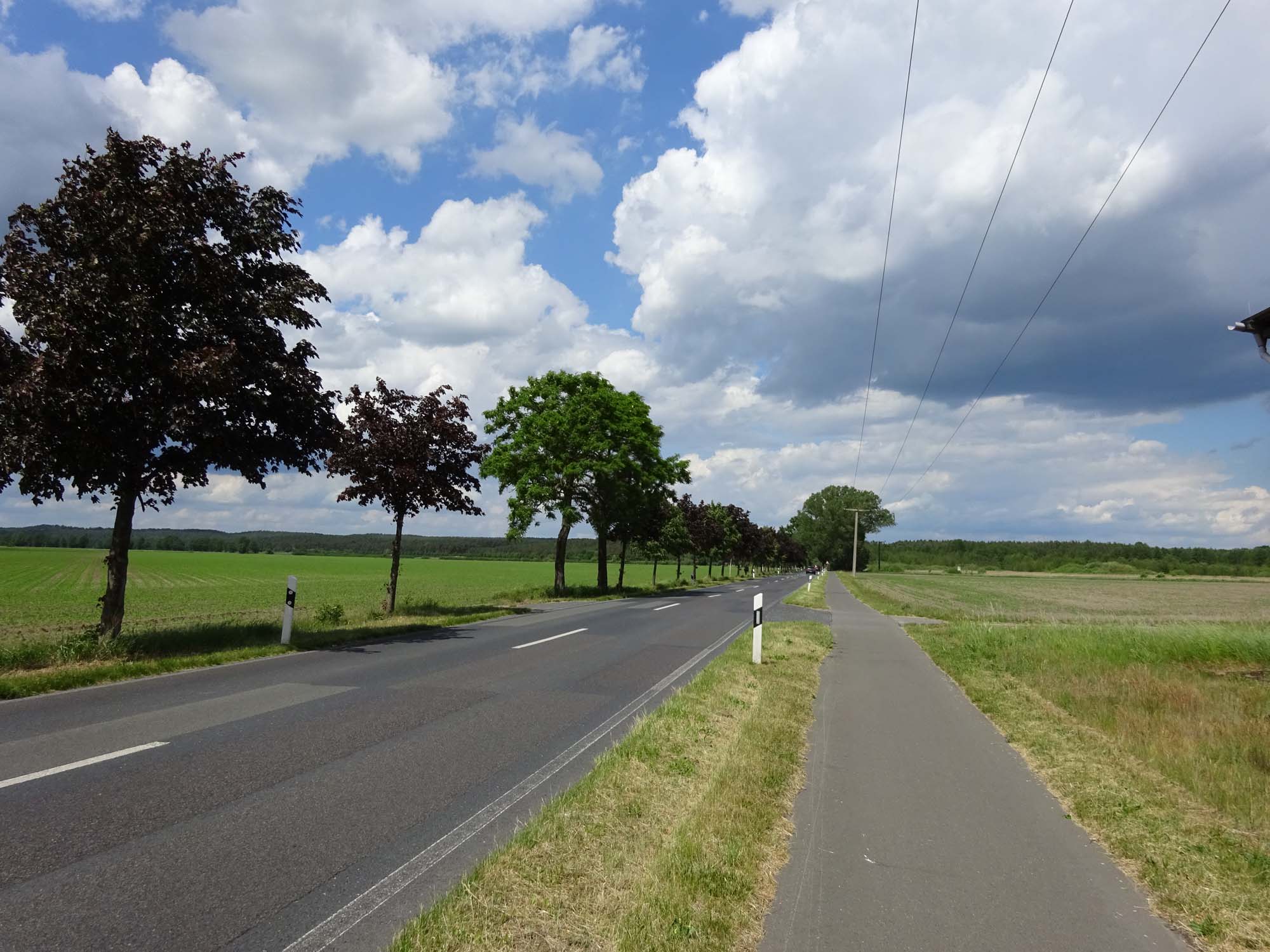 Gut ausgebaute Radwege