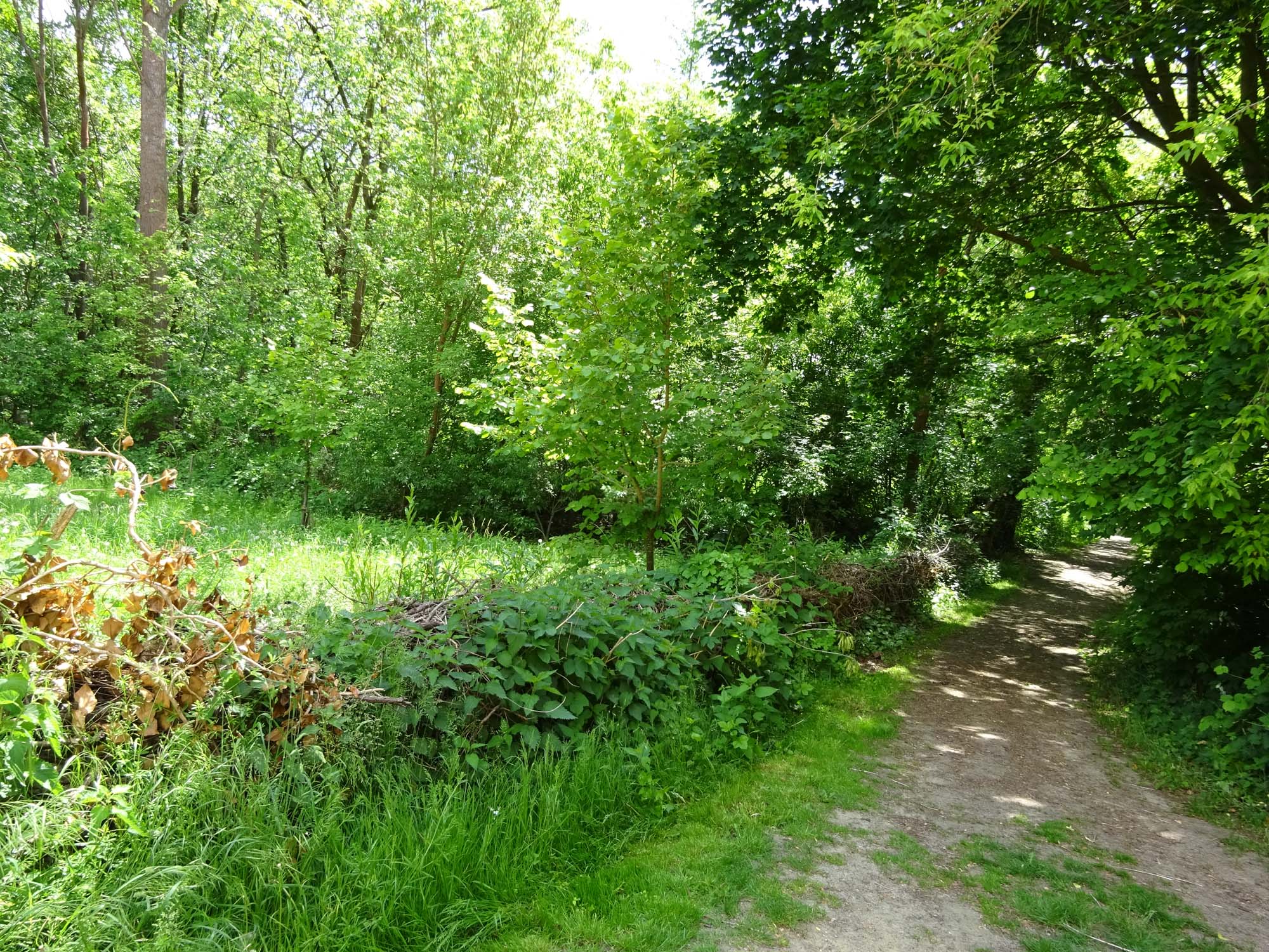 Radtour von Trebbin nach Beelitz