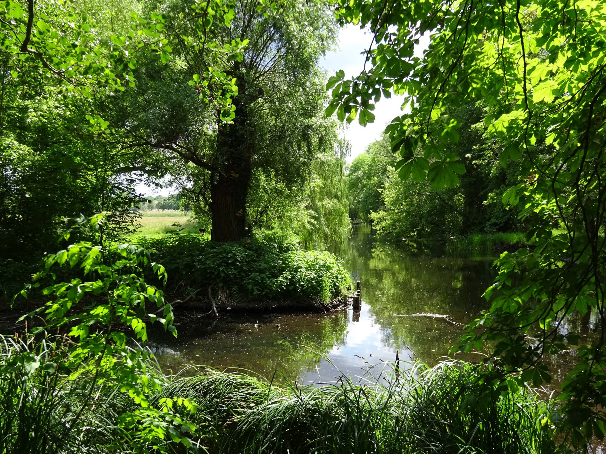 Schlosspark Blankensee