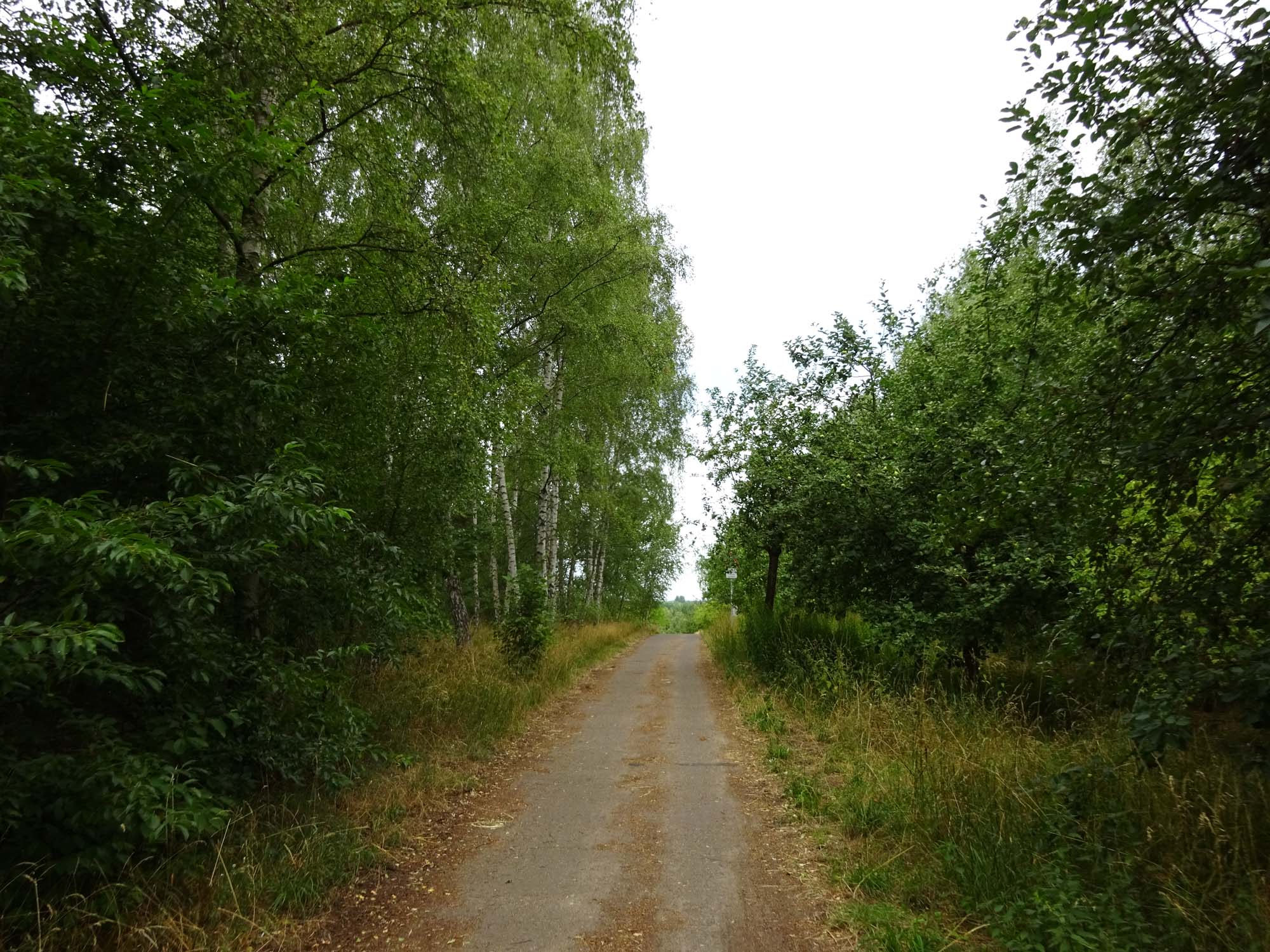 mauerweg-rosenthal-hennigsdorf-4