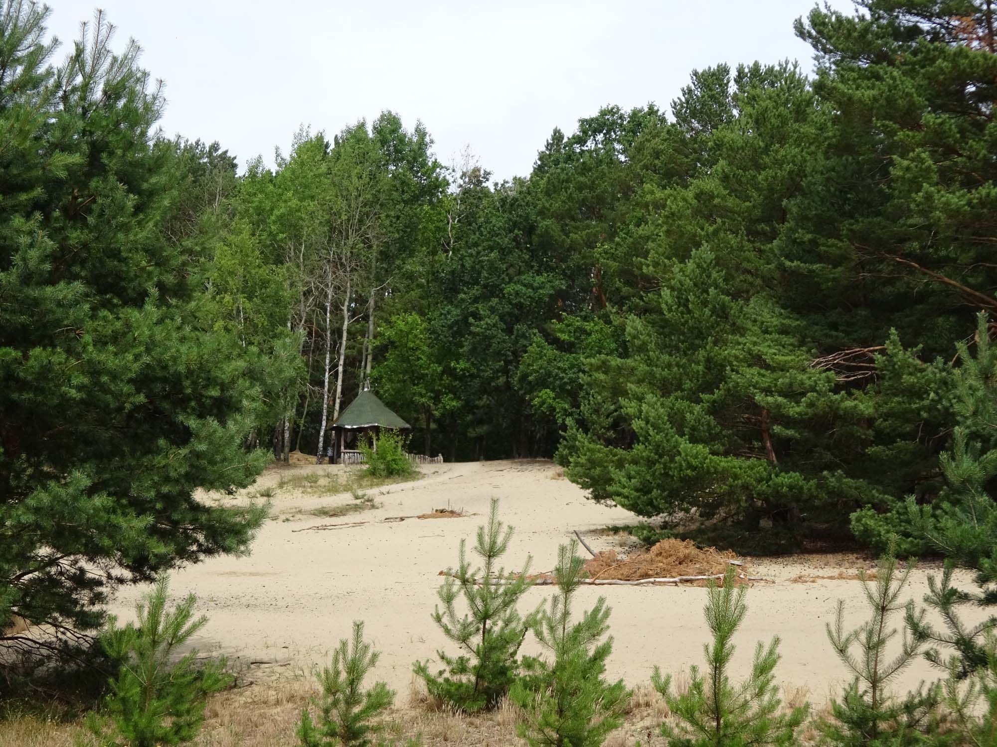 Dünen entlang des Radweges