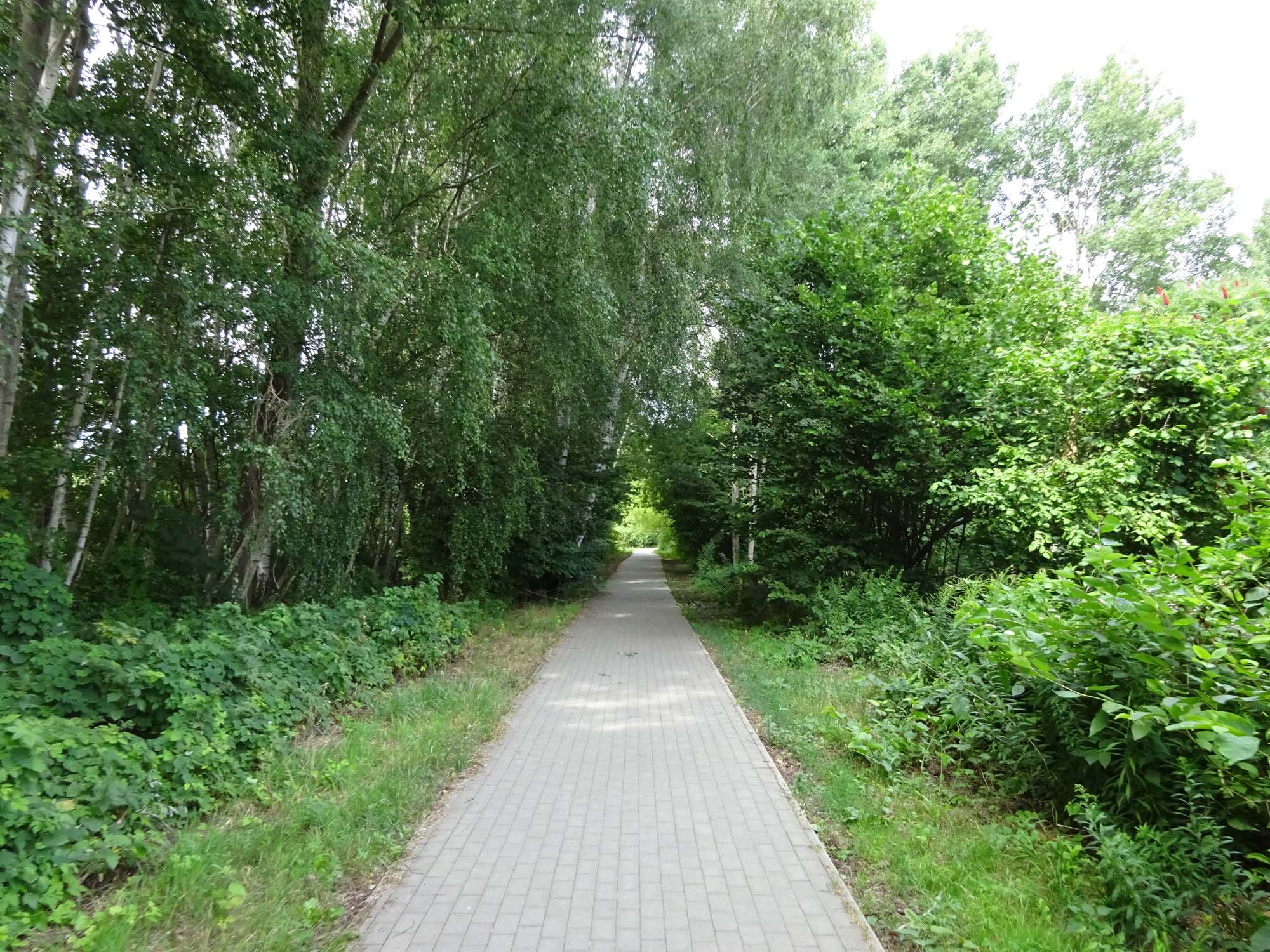 Der Radweg ist oft gut ausgebaut