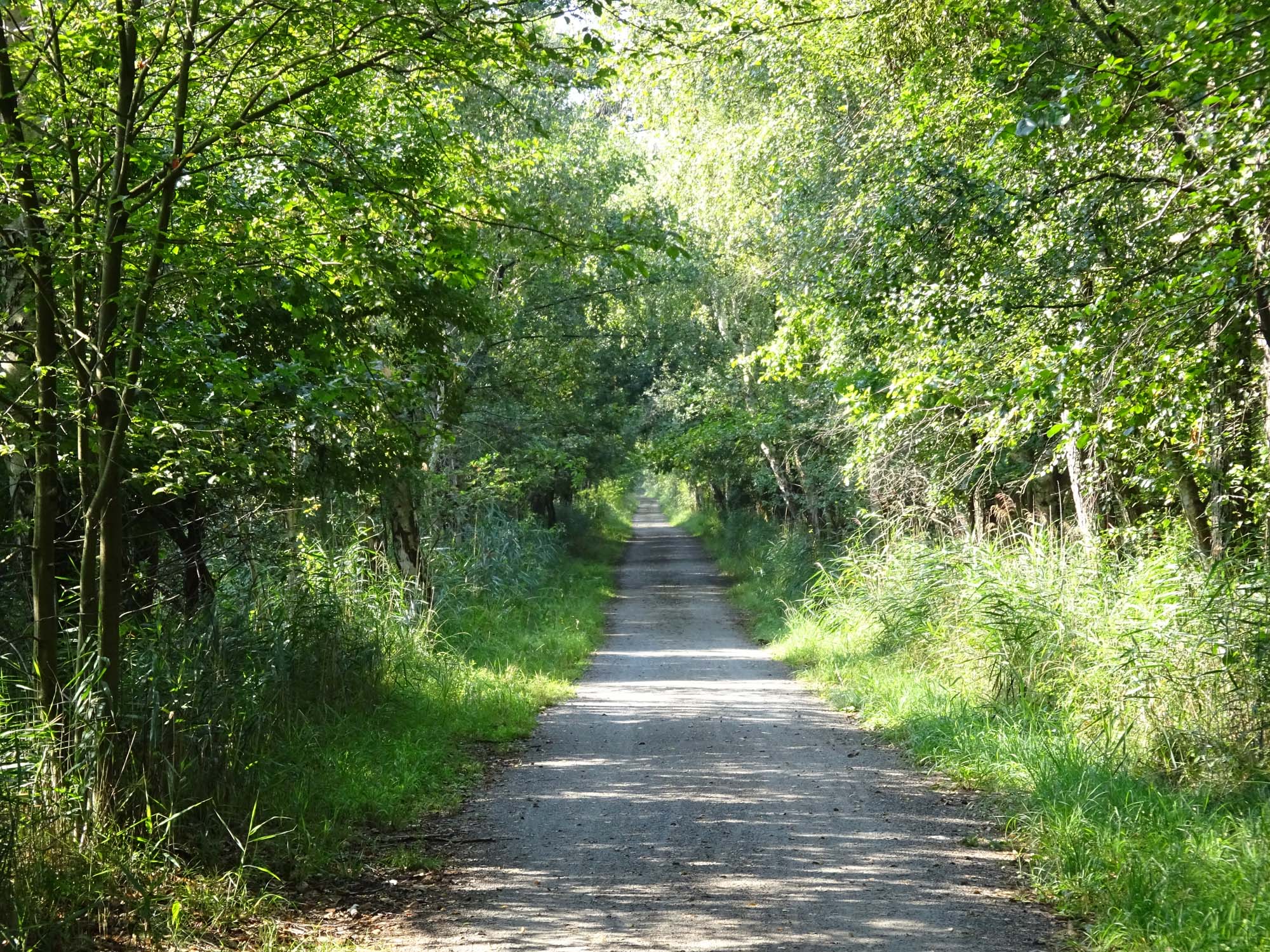 Radtour um die Müritz