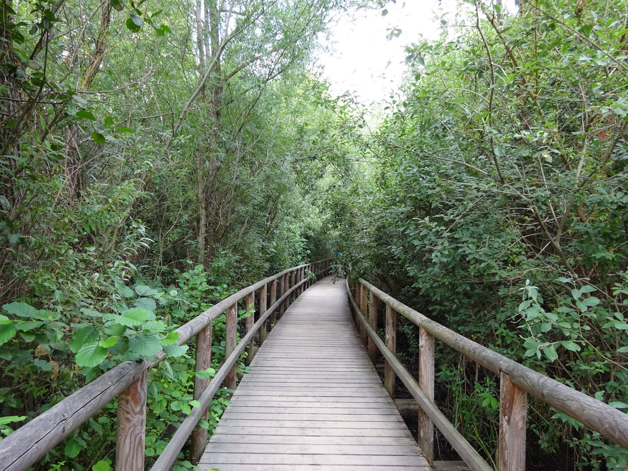 Radtour um die Müritz