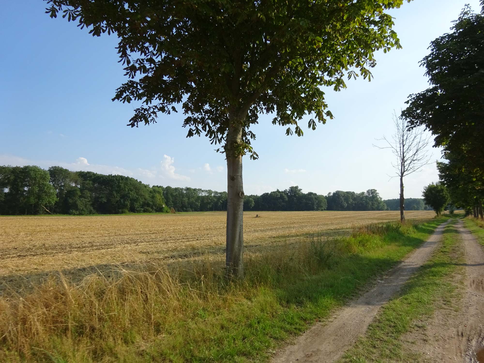 Radtour um die Müritz