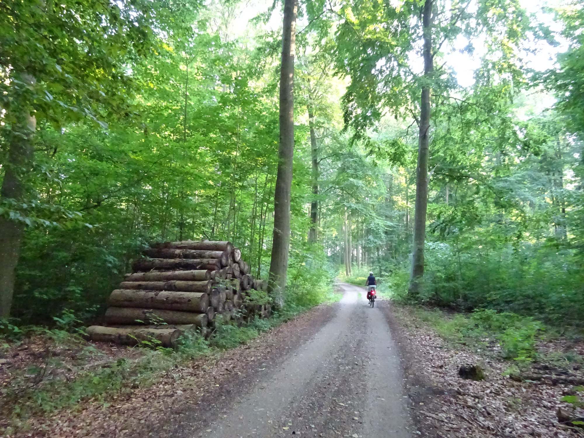 Radtour um die Müritz