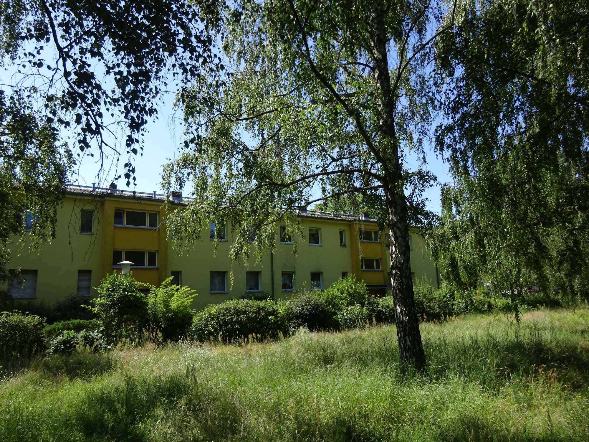 Viel Grün in Reinickendorf